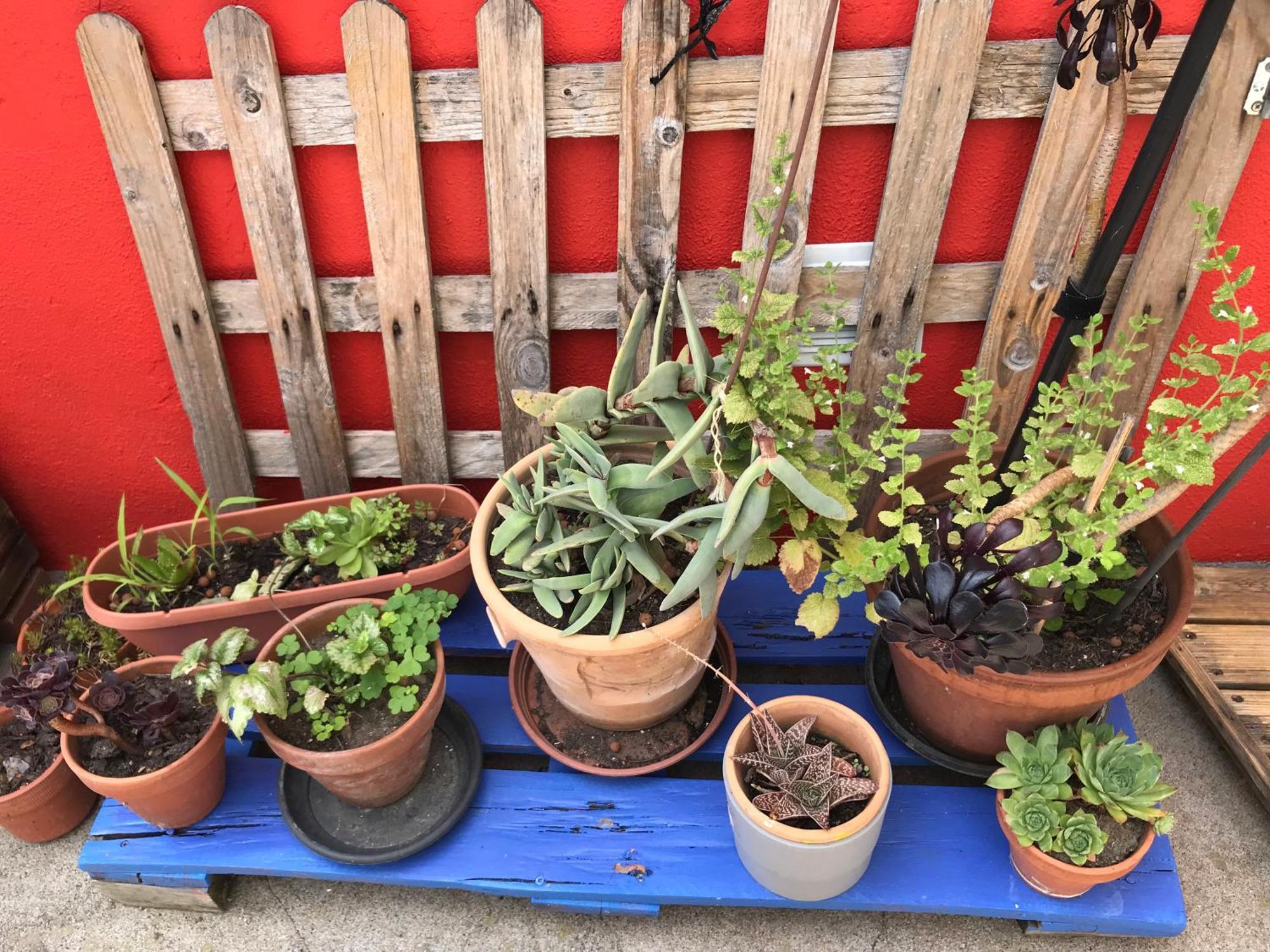 Homestay Dans La Loge De Marguerite Avec Sauna